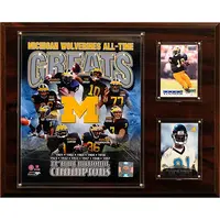 MICHIGAN WOLVERINES 12'' X 15'' ALL-TIME GREATS TEAM PLAQUE
