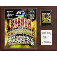 PITTSBURGH STEELERS SUPER BOWL XLIII CHAMPIONS 12'' X 15'' PLAQUE