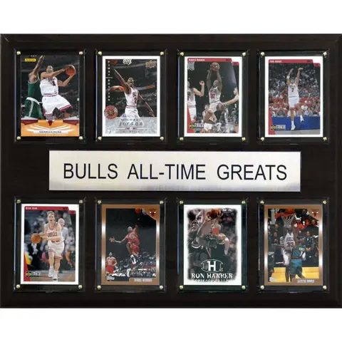 CHICAGO BULLS 12'' X 15'' ALL-TIME GREATS PLAQUE